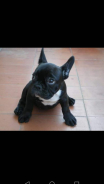 Cloe L.