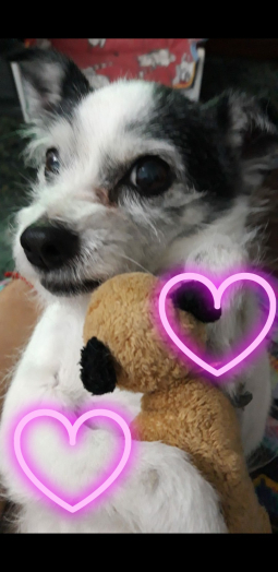 Fiona