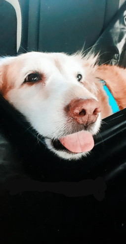Kayra