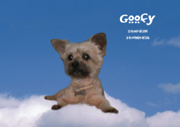 Goofy