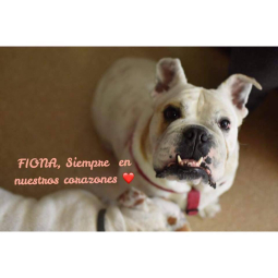 Fiona