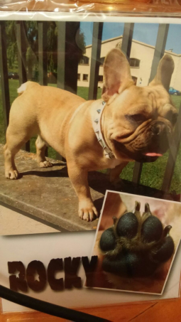 Rocky