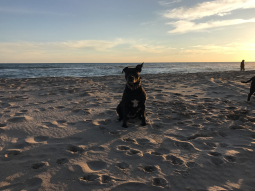 Kiara 
