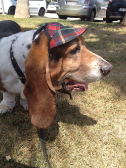 Gus