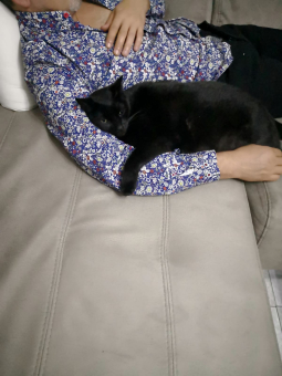 MIMI