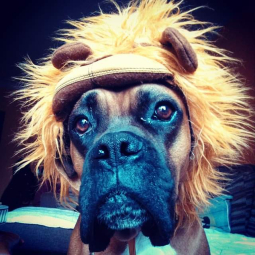 Thor
