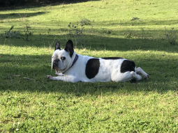 Luna