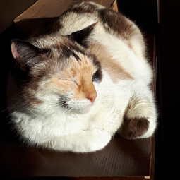 PIGA