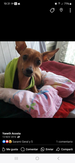 ODIN