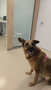 NALA