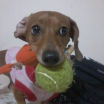 Hanna
